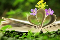 Tử vi thứ ba ngày 19/3/2019 của 12 cung hoàng đạo