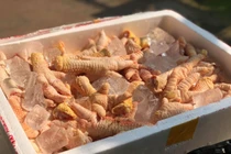 Chân gà khổng lồ, 400 ngàn/kg vẫn cháy hàng