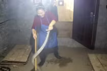 “Nữ hoàng rắn hổ mang” ở Trung Quốc