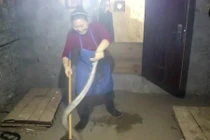 “Nữ hoàng rắn hổ mang” ở Trung Quốc