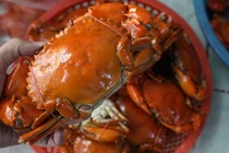Bí quyết bán 30 kg cua trong 10 phút của bà Ba Cua ở hẻm nhỏ Sài Gòn