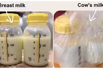 Người đàn ông hầu tòa vì uống trộm sữa mẹ của đồng nghiệp