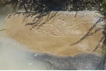 Tìm ra đường vào vương quốc bằng vàng