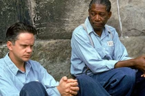 Cả đoàn phim phải chờ... một con sâu đột tử