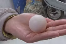 Hình dáng kỳ quặc nhưng quả trứng gà này có giá 15 triệu đồng