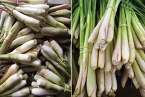 Mẹ chồng bảo đi mua sả, nàng dâu mang gì về mà bị mắng té tát?