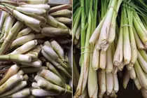 Mẹ chồng bảo đi mua sả, nàng dâu mang gì về mà bị mắng té tát?