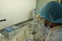 Cuộc ngã giá bạc tỷ sau kết quả thử ADN của đại gia đất Cảng