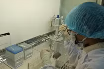 Cuộc ngã giá bạc tỷ sau kết quả thử ADN của đại gia đất Cảng