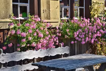 Gái xinh ôm hận vì giữ người yêu bằng... “trái cấm“