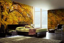 Nhà rộng và đẹp “gấp vạn lần” nhờ giấy dán tường 3D