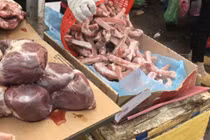 Nhập thịt đông lạnh sau rã đông và bán như thịt tươi