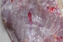 Video: Tưởng chỉ có trong phim ảnh, hóa ra “thịt zombie” là có thật