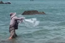 Ngư dân chắc nịch kéo mẻ cá đối ngược sóng vào bờ