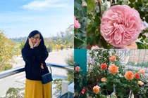 Biến ban công 3m² thành vườn hồng