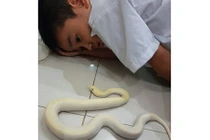 Con gái tủi thân vì có ông bố mê chim hơn mê con gái