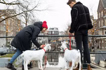 Video: Đến Amsterdam để được "tặng" chồng và hưởng trăng mật miễn phí