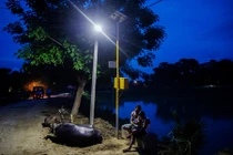 "Bùa may mắn" của ngôi làng 20 năm chỉ có 2 đám cưới