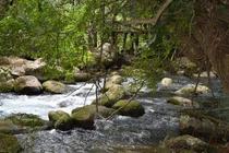 Chuyện rùng mình xung quanh việc bốc mộ