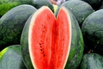 Vì sao người bán luôn bổ đôi quả dưa hấu khi bày ra sạp hàng?