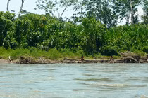 Bộ tộc kỳ dị nhất thế giới: Không tiếp xúc thế giới bên ngoài