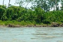 Bộ tộc kỳ dị nhất thế giới: Không tiếp xúc thế giới bên ngoài