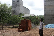 Chuyện nuôi yến: Lộc trời 6 tỷ từ 6 con chim lạ sa vào nhà