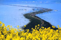 14 nơi không đi thì phí cả chuyến tham quan Hàn Quốc