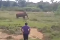 Video: Thôi miên voi, người đàn ông Sri Lanka mất cả mạng sống