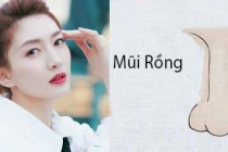 Trong nhân tướng học có 3 tướng mũi phú quý