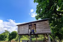 Vay 60 triệu để khởi nghiệp, 9x thu về 1,5 tỷ đồng sau 3 năm