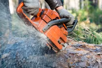 Thợ làm vườn chết lơ lửng trên cây vì cắt trúng cuống họng