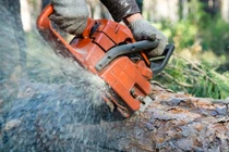 Thợ làm vườn chết lơ lửng trên cây vì cắt trúng cuống họng