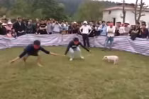 Video: Những pha từ ngượng chín mặt đến ôm bụng cười ở lễ hội Xuân 2018