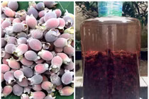 Đến hẹn lại lên, trái sim rừng chiếm lĩnh thị trường ‘chợ online’