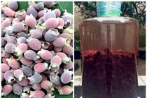 Đến hẹn lại lên, trái sim rừng chiếm lĩnh thị trường ‘chợ online’