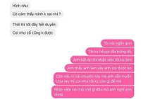 Dân mang "rần rần" lý do chia tay "hãm" nhất Vịnh Bắc Bộ