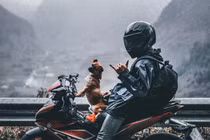 Chủ đưa chó cưng đi phượt xuyên Việt bằng xe máy