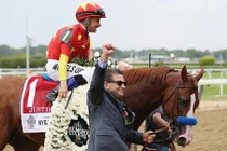 Chú ngựa giá 1.369 tỷ đồng, phối giống mỗi lần hơn 2 tỷ đồng