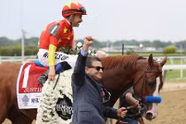 Chú ngựa giá 1.369 tỷ đồng, phối giống mỗi lần hơn 2 tỷ đồng