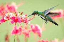 Sinh vào 3 tháng Âm lịch này tương lai sung túc, thịnh vượng