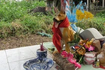 Ly kỳ xung quanh việc thờ “Thiên cẩu” tại ngôi miếu thiêng xứ Huế