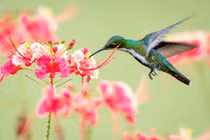 Sinh vào 3 tháng Âm lịch này tương lai sung túc, thịnh vượng