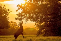 Ngỡ ngàng trước thiên nhiên đẹp đến mê hồn trong sắc Thu huyền ảo