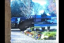 Tham lấy TV quá to, trộm đành bỏ cuộc trả lại cho chủ