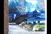 Tham lấy TV quá to, trộm đành bỏ cuộc trả lại cho chủ