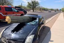 Video: Tài xế may mắn thoát chết sau khi 'xương rồng khổng lồ' đâm xuyên ôtô