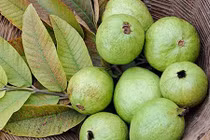 Các biện pháp làm giảm đầy hơi nhanh chóng