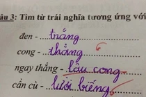 Những bài kiểm tra, tập làm văn 'bá đạo' của học sinh