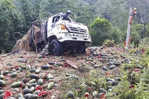 Video: Xe tải chở hơn 1,5 tấn dưa hấu lật thảm khốc trên đèo Tà Cơn